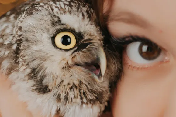 Casino Fever Bingo Kundeservice